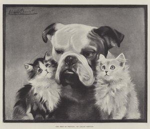 Die besten Freunde von Lilian Cheviot